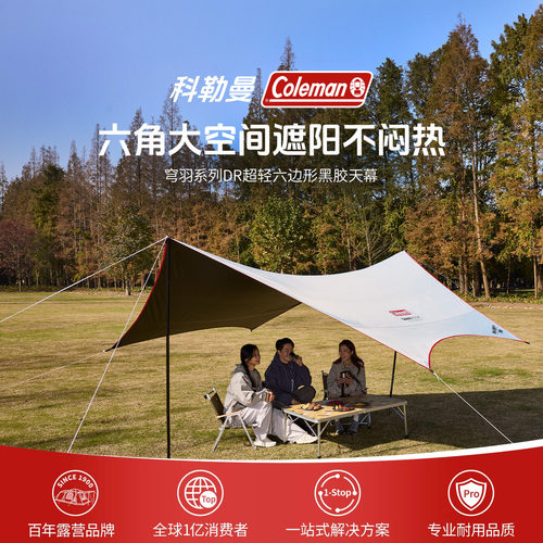 穹羽系列超轻六边形黑胶天幕银白