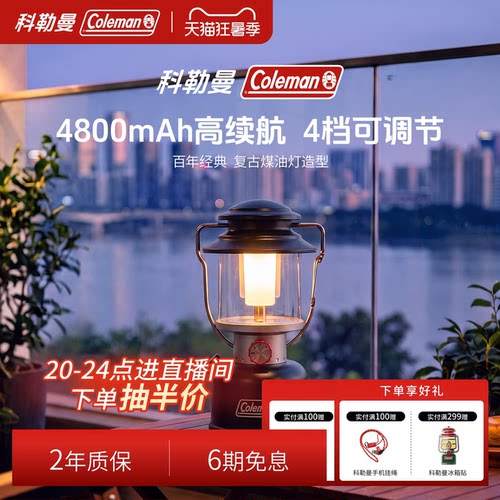 充电LED露营灯黑800流明