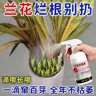 兰花多箭素爆芽素专用营养液蝴蝶兰多剑王兰灵王通用促开花肥料