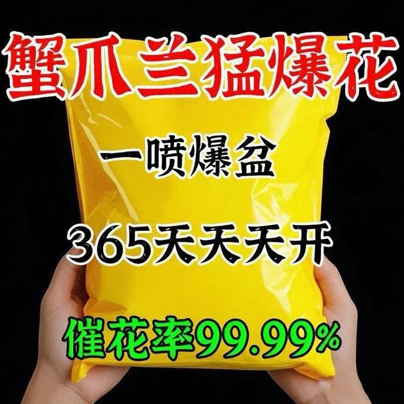 【蟹爪兰复活液】营养液