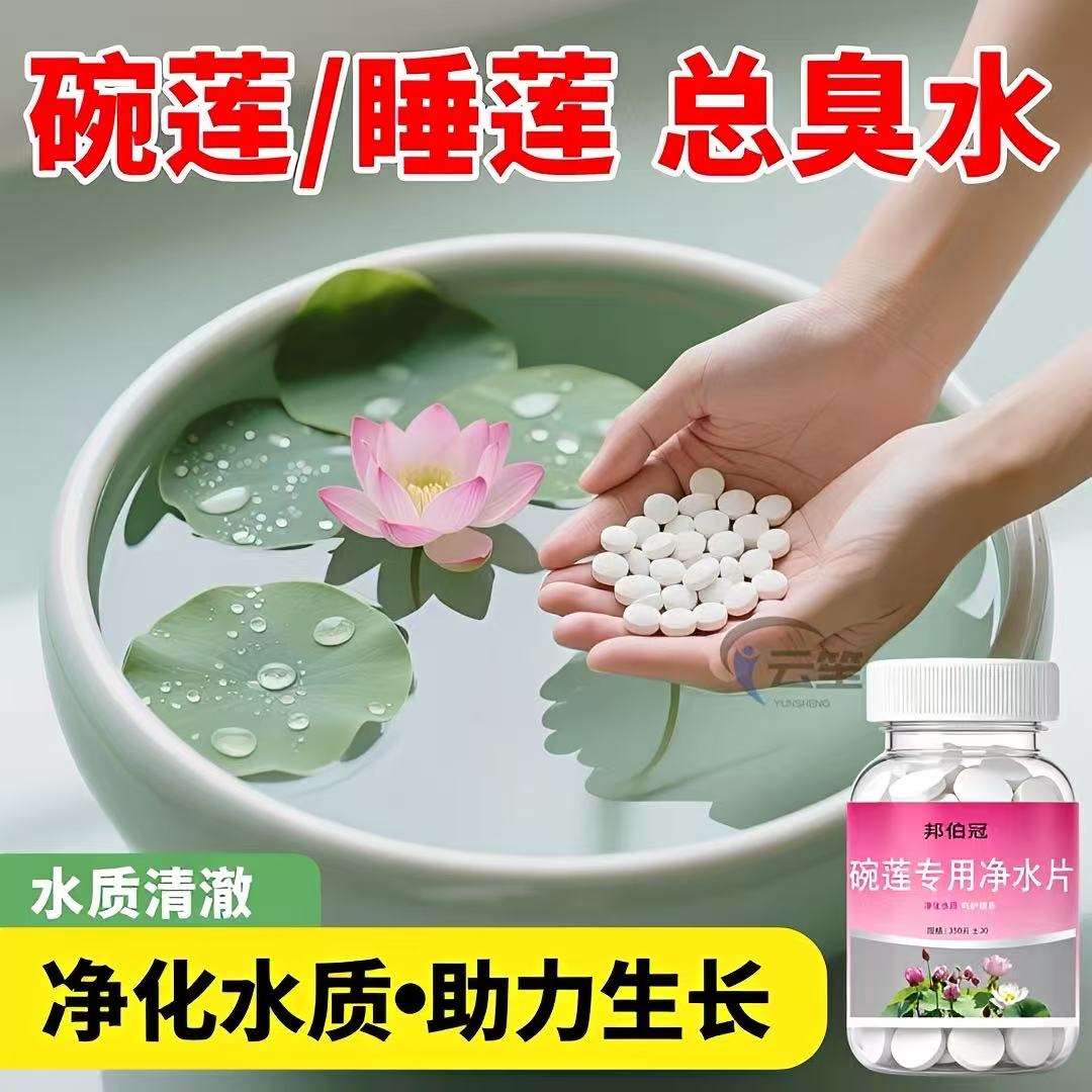 碗莲净水片改善水质防烂根专用片