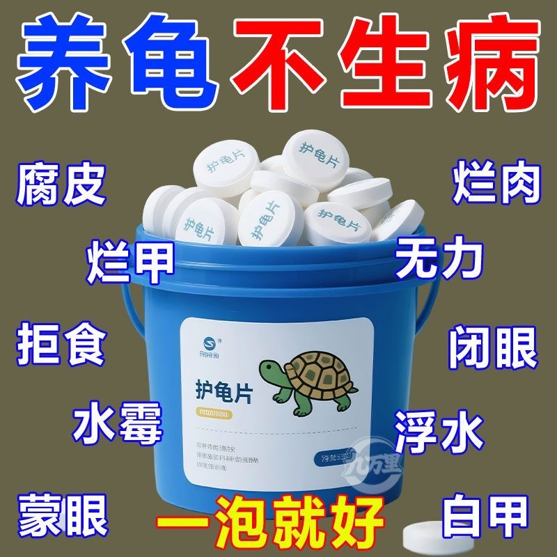 乌龟万能片百种问题一泡就好