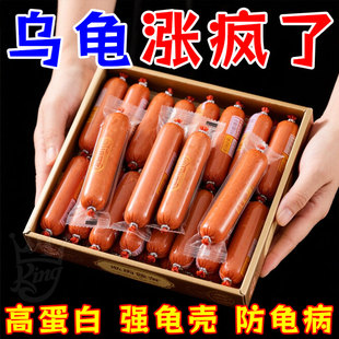 乌龟高蛋白火腿肠全品种龟类通用专用营养火腿肠乌龟食用专用补充