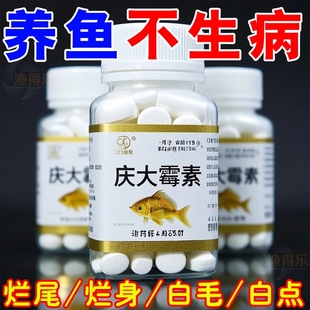 庆大霉素鱼病专用药烂身烂尾白点白毛掉磷蒙眼杀日常预防硝化细菌