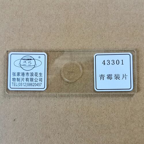 青霉装片43301 生物显微镜玻片涂片 浪花牌切片 教学仪器