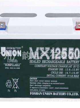 UNION蓄电池 友联蓄电池VT12100 VT12120 12v100ah应急ups蓄电池