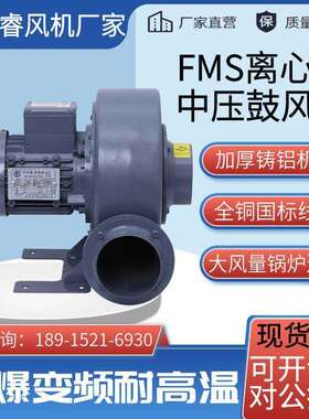 PF-200-5直叶式鼓风机 透浦中压风机4KW 低压冷却鼓风机 离心风机