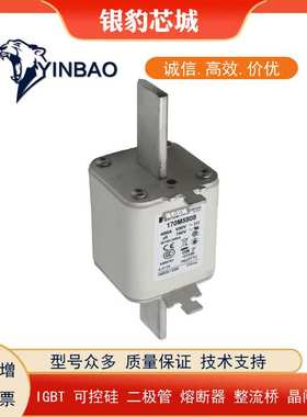 170M5808/09/10/11/12/3813/4808/5809/6810熔断器保险丝型号齐全