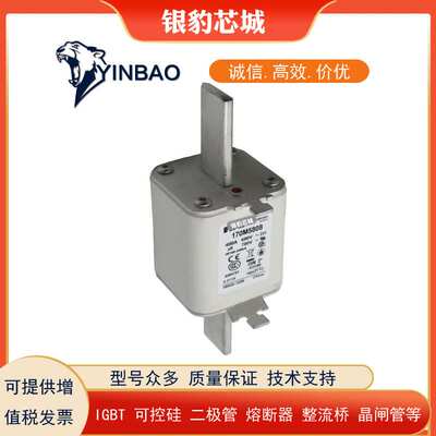 170M5808/09/10/11/12/3813/4808/5809/6810熔断器保险丝型号齐全