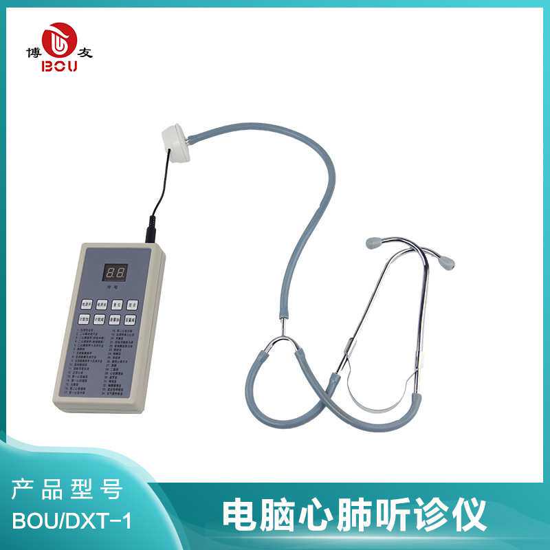 电脑心肺听诊仪单人用听诊器体格检查模型教学示教模具模型