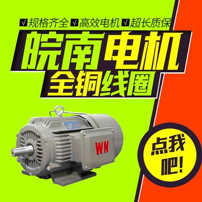 皖南电机YEJ2-180L-6 15KW电磁制动三相异步电动机特种专用185kw