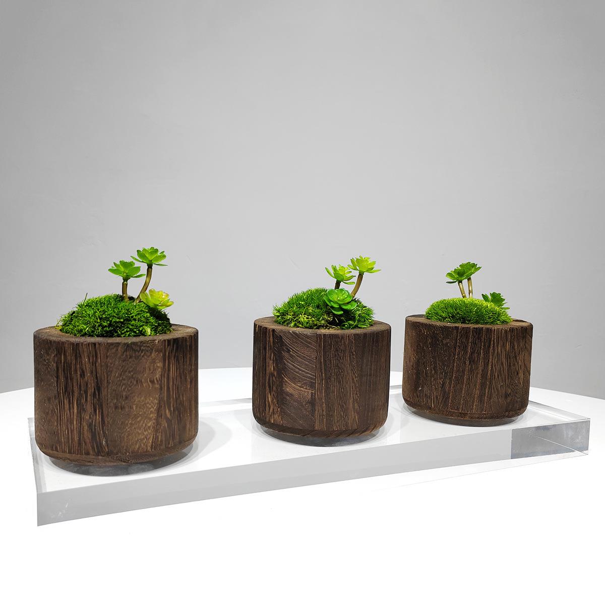 新中式实木花器永生苔藓绿植小盆景室内客厅床头柜洽谈桌软装饰品