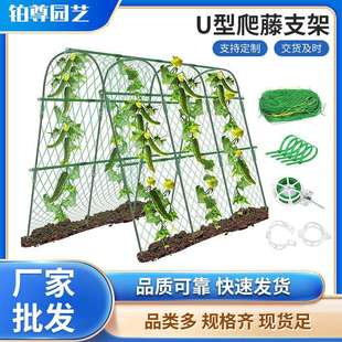 园艺拱形弯管竹竿子搭架菜园温室大棚暖房爬藤支架遮阳U型支架
