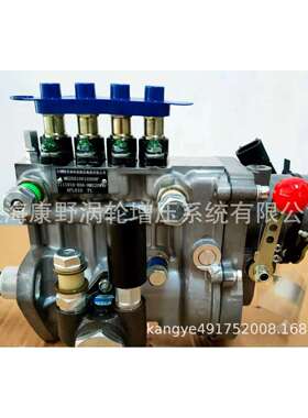 适用锡柴发电喷油泵 1111010-B56-HMS20WWF 4PL610和4PL612
