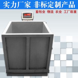 跨国物流电子称 多功能电子秤 快递物流行业电子称 电子磅