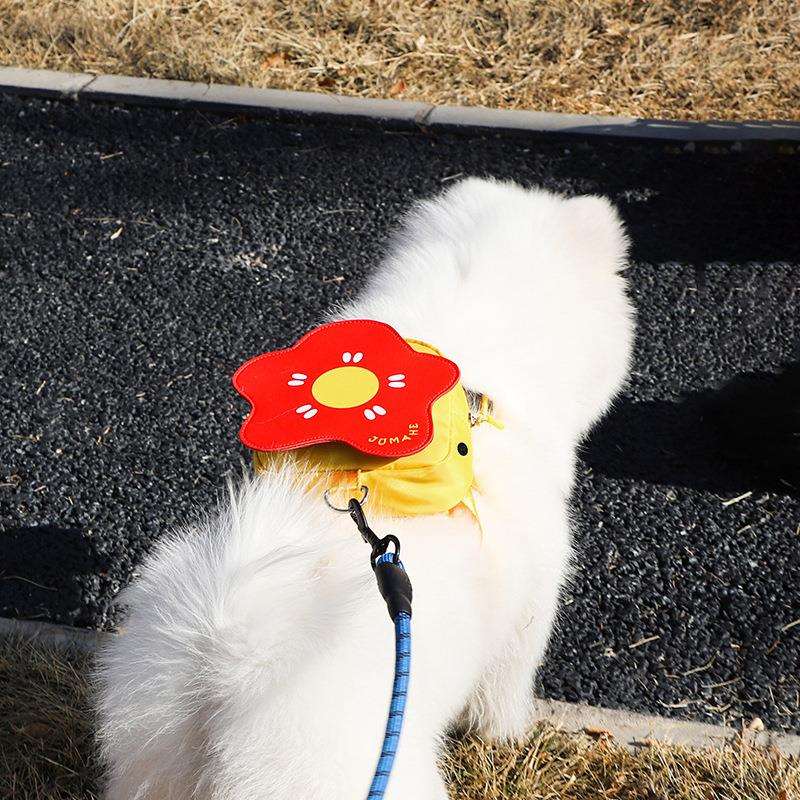 宠物背包小型犬可挂牵引绳狗狗外出遛狗零食自背包新款狗包小狗包