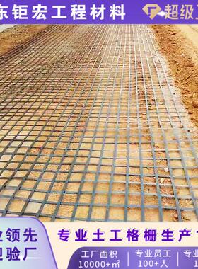 高强度钢塑土工格栅高速公路用土工格栅GSZ50GSZ80KN钢塑土工格栅