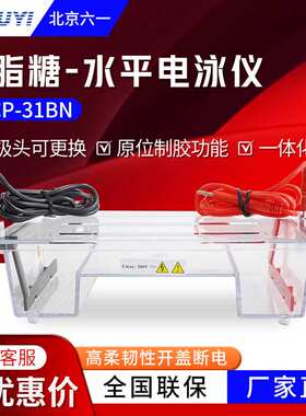 北京六一 DYCP-31BN 琼脂糖电泳设备 水平电泳槽 电泳仪