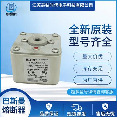 170M5567170M5568巴斯曼BUSSMANN熔断器保险丝