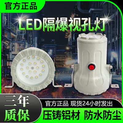 LED防爆视孔灯BSD反应釜视镜灯密闭容器探照灯照明内视灯射灯36v