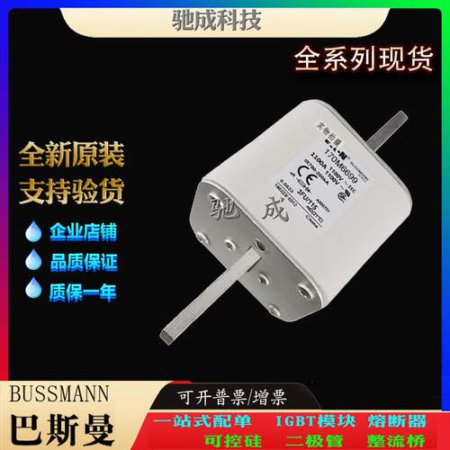 巴斯曼170M6693 170M6694 170M6695 经销直销价优 低压熔断器