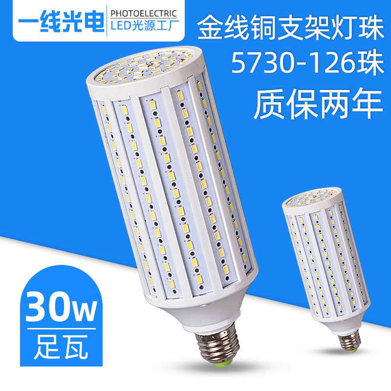 厂家 LED足功率30W瓦工程节能暖白冷白庭院灯玉米灯30W大功率