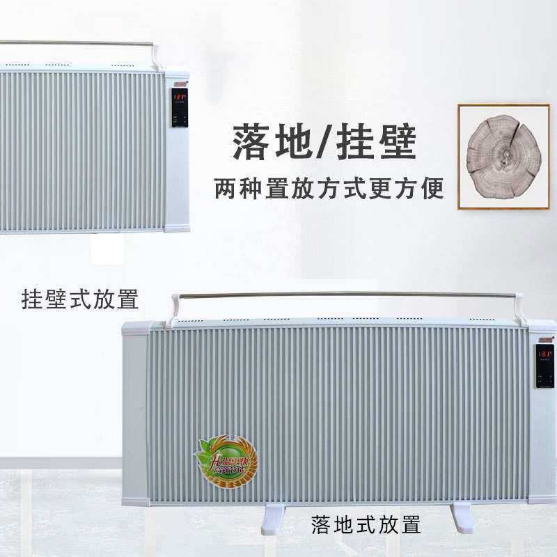 碳纤维电暖器壁挂式电暖气两用浴室可晾衣取暖器电热遥控暖风机