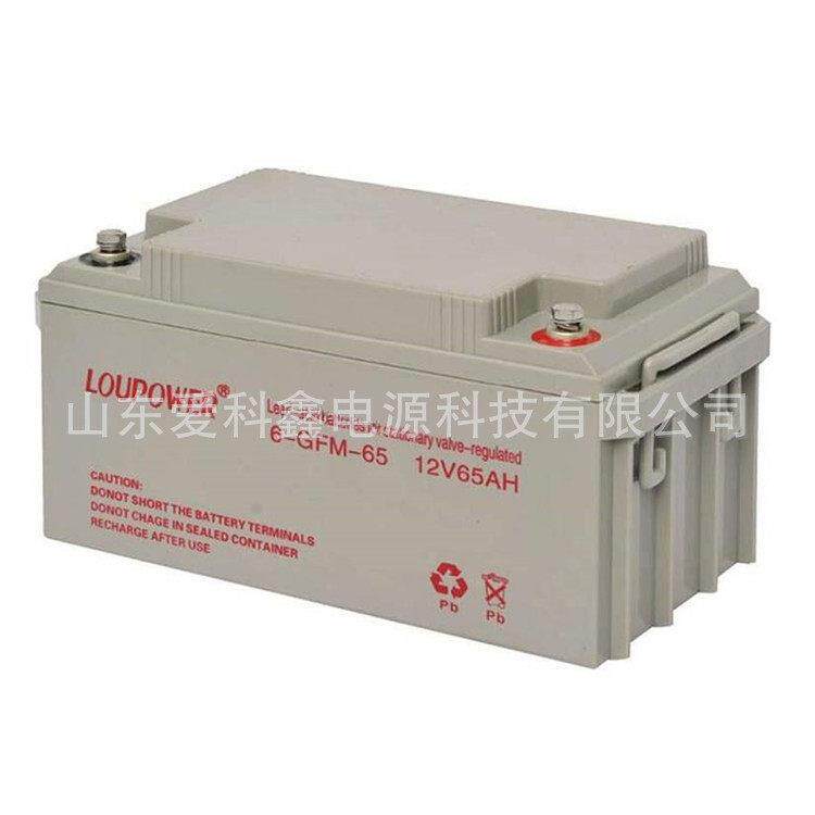LOUPOWER莱力蓄电池6-GFM-65 12v65ah 铅酸免维护UPS蓄电池