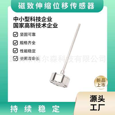 磁致伸缩位移传感器 GB磁致伸缩传感器 Temposonics传感器