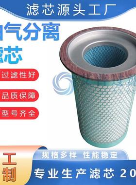 APE 专业生产供应油气分离滤芯压缩机配件外置油分滤芯2205406503