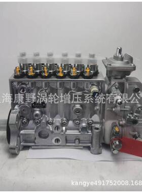 康明斯喷油泵4063536 0402066729 6743-71-1131 和3938796