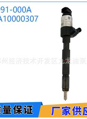 P091-000A  HA10000307 喷油嘴适用于云内YN38CR-110004柴油机