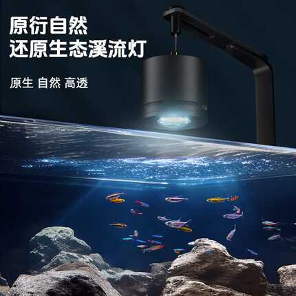 疯狂水草鱼缸筒灯led原生溪流缸爆藻灯 全光谱水草观赏微景观射灯