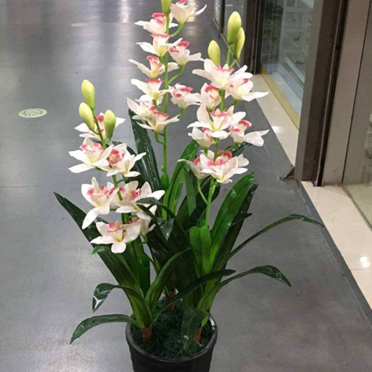 客厅真花假花蕙兰真植物树绿植盆栽室内居家客厅摆件装饰盆景绢花