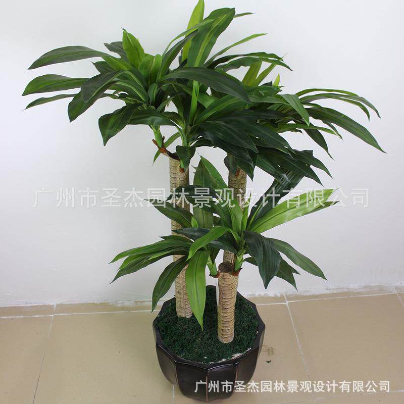 巴西铁盆栽 大型仿真植物酒店室内装饰常绿假巴西铁植物厂家直销