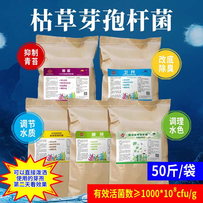 枯草芽孢杆菌厂家直销水产养殖菌种粉净水调水抑制青苔蓝藻