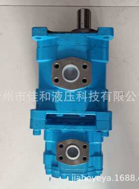 长江液压双联齿轮泵CBY3063/2016-B1FR 多种规格 运行稳