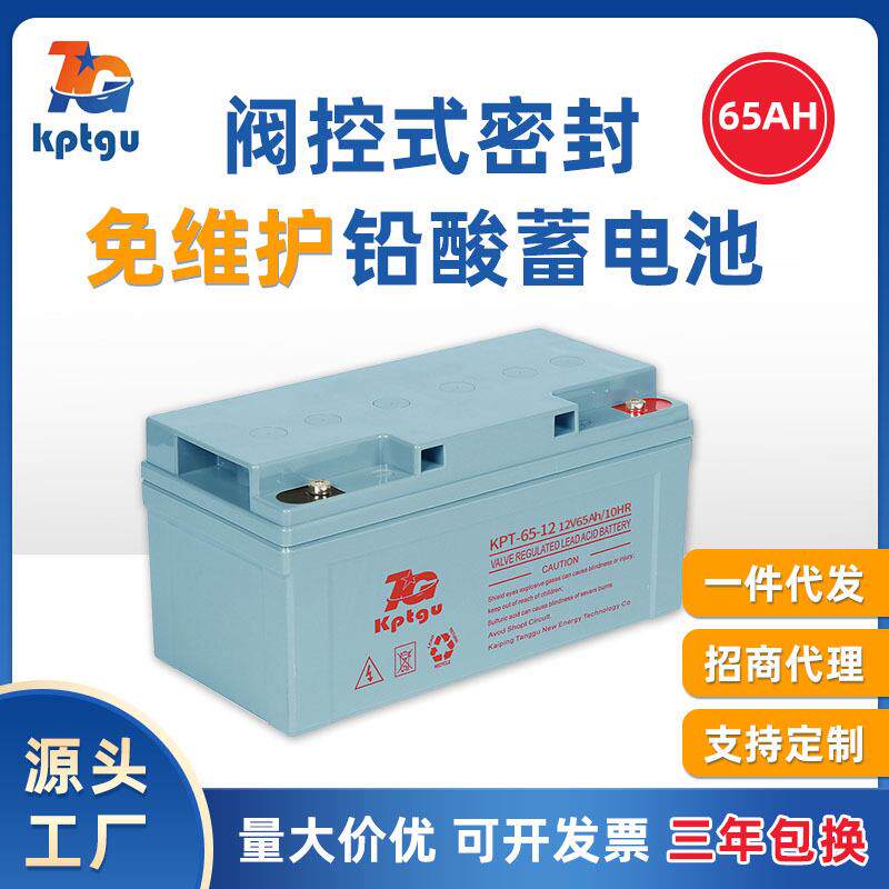 源头厂家铅酸蓄电池12V65AH免维护胶体UPS应急电源后备电池大容量