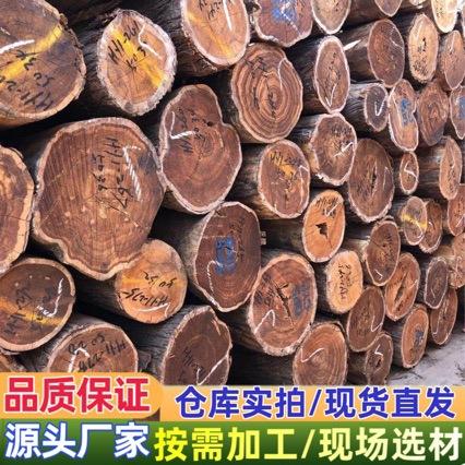 香柏澳洲油柏原木 红香柏寿材棺木料工艺品家装材 大中小径油柏木