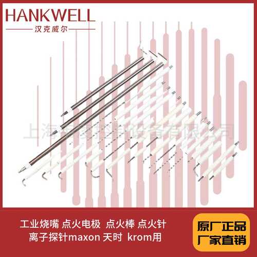 工业烧嘴 点火电极  点火棒 点火针  离子探针maxon 天时  krom用