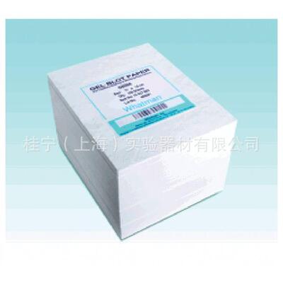 Whatman 沃特曼 GB005印迹滤纸 10426994