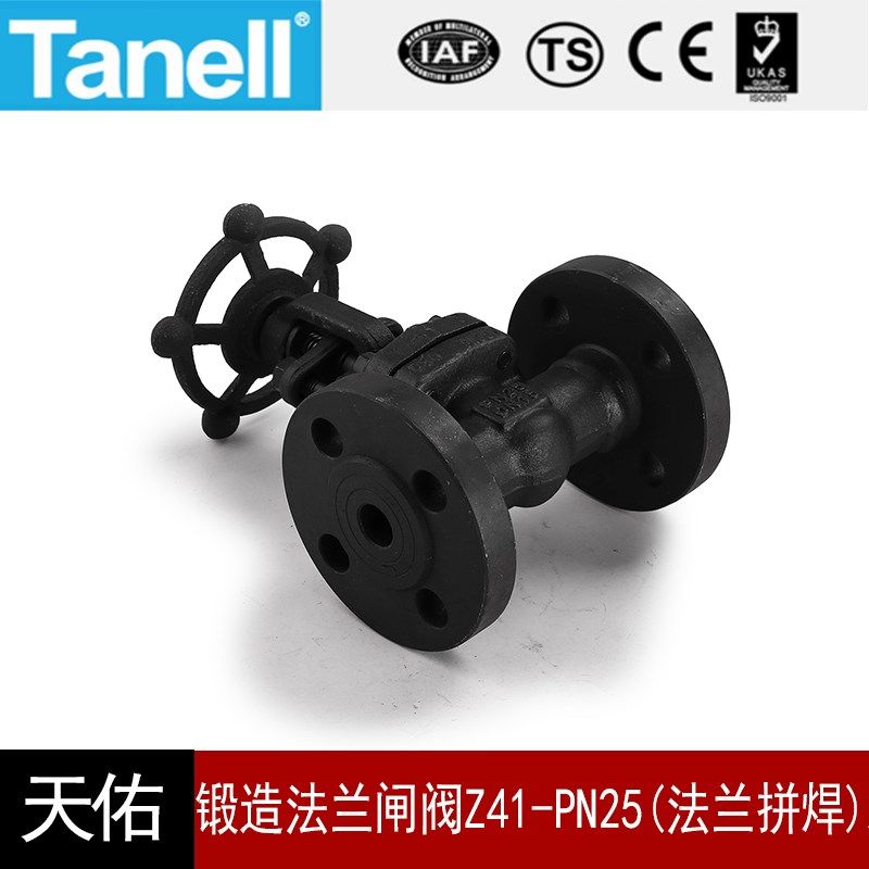 锻造法兰闸阀Z41-PN25(法兰拼焊)A105