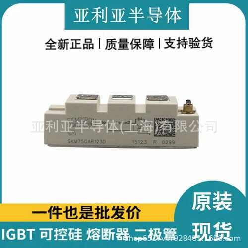 SKM75GB128DE SKM75GB12T4-12V SKM100GB12F4 SKM100GB125DN 原标
