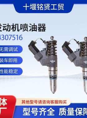 高品质喷油器4307516适用于工程机械西安康明斯QSM11发动机