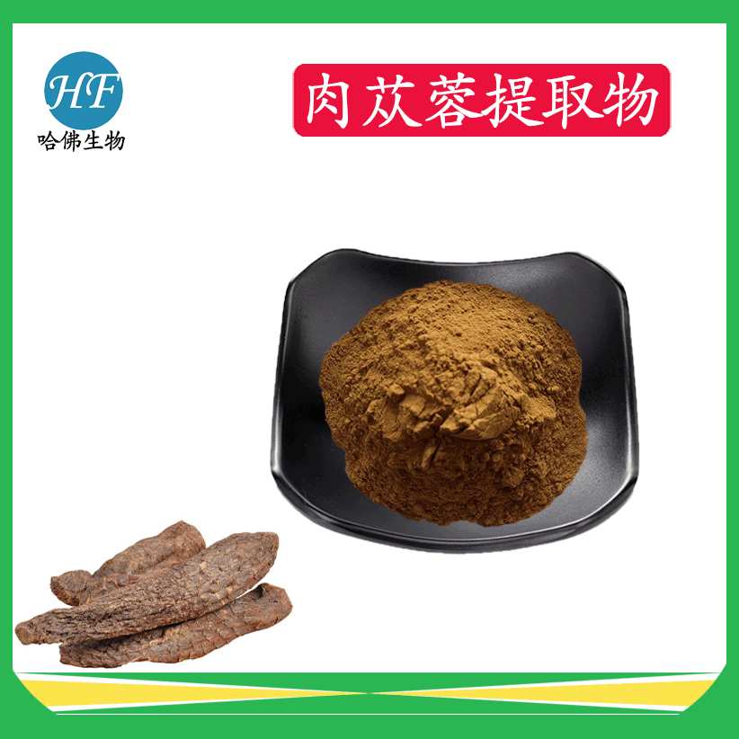 肉苁蓉提取物10：1 肉苁蓉皂甙  管花肉苁蓉粉 哈佛现货供应