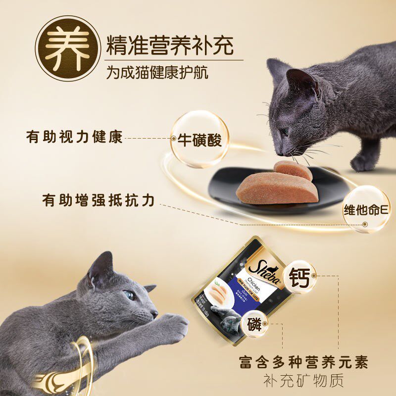 猫咪宠物零食鸡肉吞拿鱼南瓜胡萝卜口味浓汤软包罐头70g