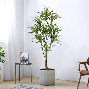 仿真绿植景观盆栽吊兰树高端假树仿生绿植盆景摆件大型旅人蕉