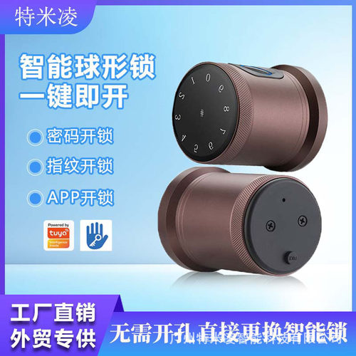 智能球形锁远程密码锁公寓酒店民宿出租房指纹刷卡室内门锁厂家