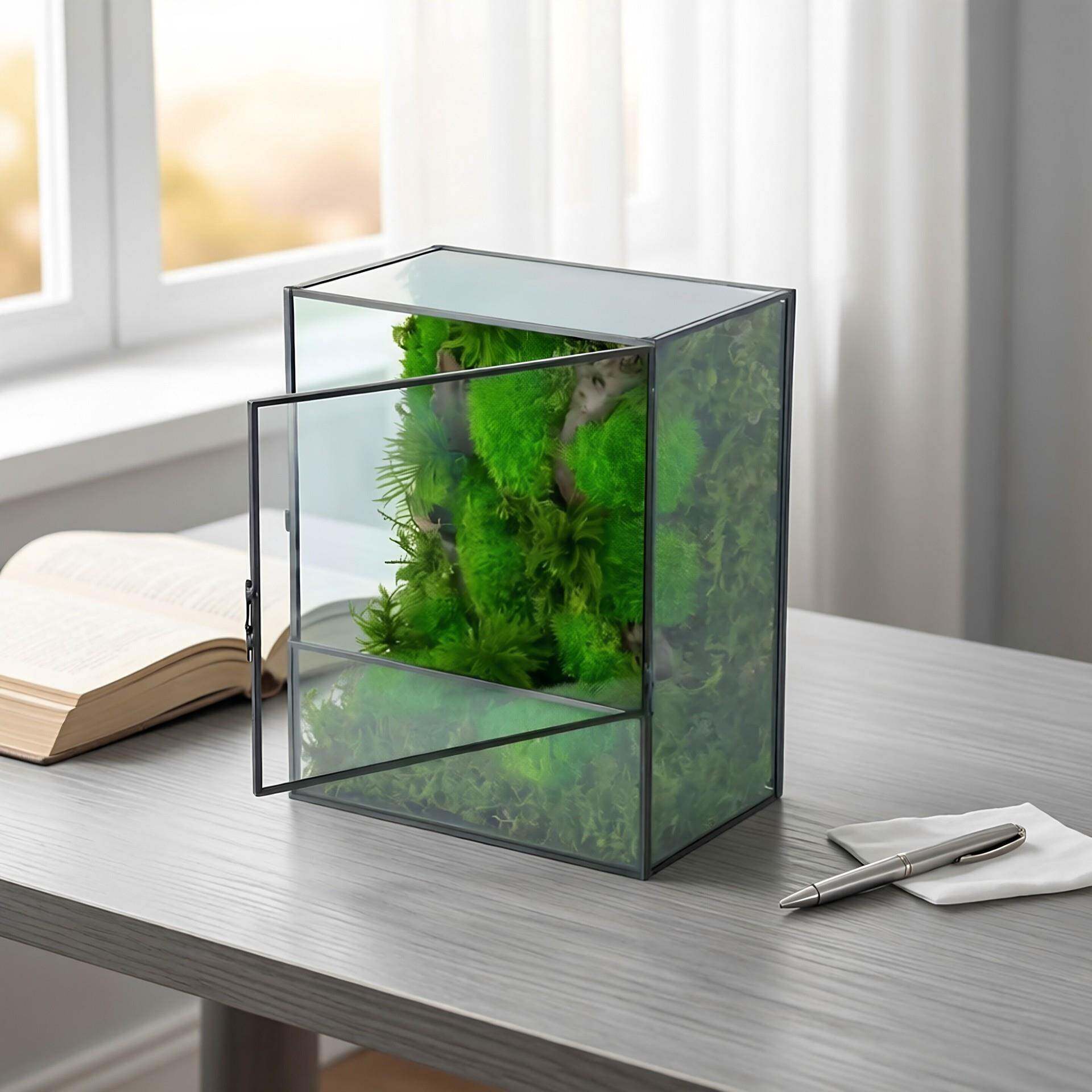 方形翻盖玻璃花房苔藓微景观桌面摆件绿植盆栽鱼缸创意植物盆