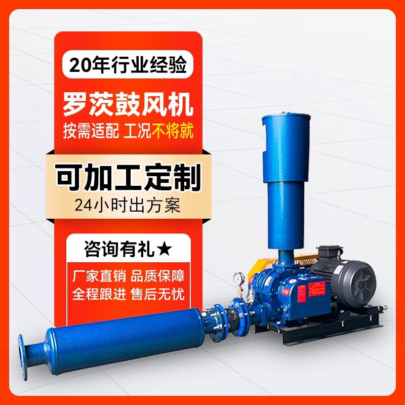 三叶罗茨鼓风机加工定制化工水产污水粮食输送多工况罗茨鼓风机